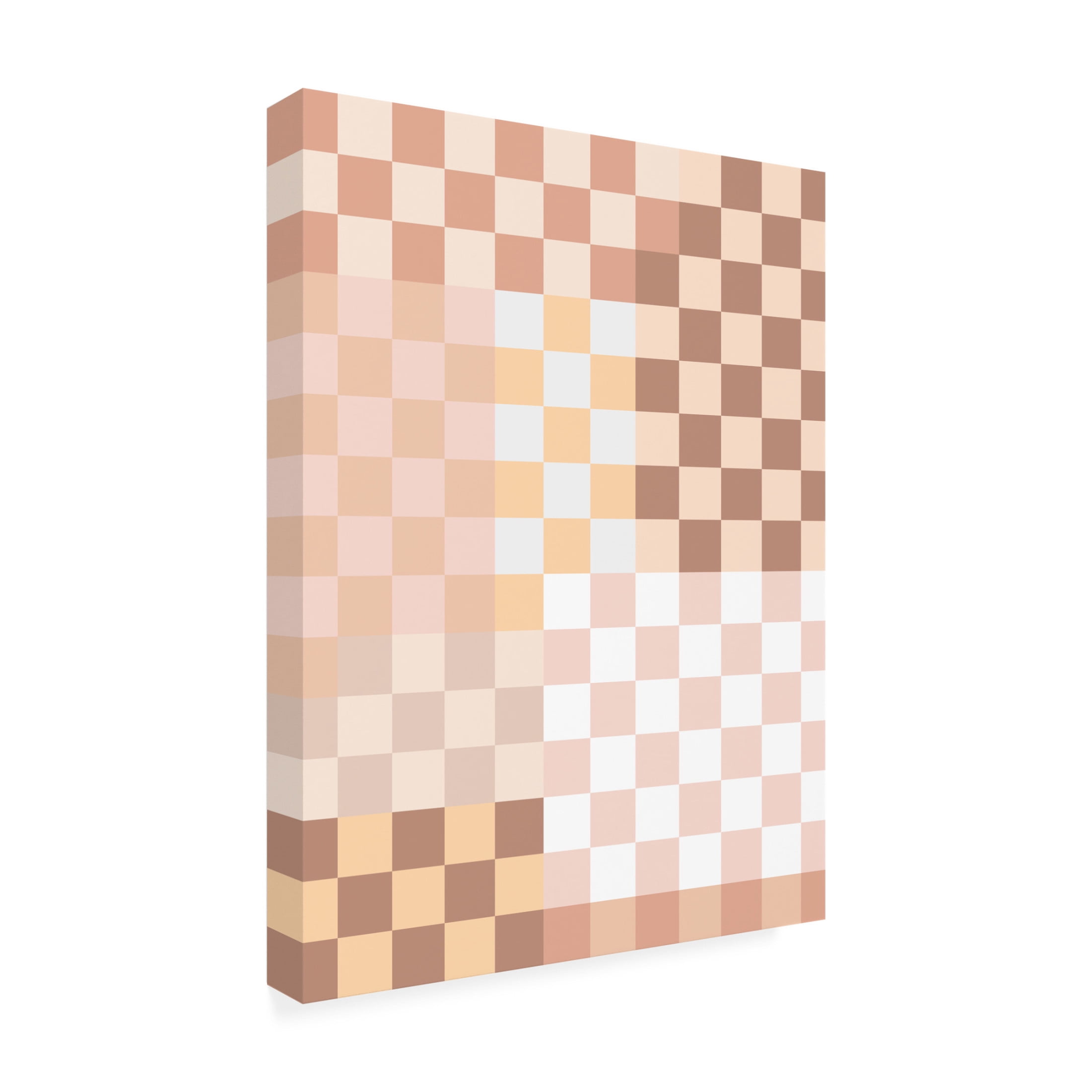 Trademark Fine Art Elena Ristova softpink27 Canvas Wall Art
