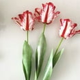 thumbnail image 7 of Walbest 1Pc 26.77 Inch Artificial Flower Vivid Decorative 3D Parrot Tulip Real Touch Fake Flower Decor Flower Arrangement for Home Office Party, Flower Diameter: 4.33", 7 of 7