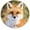 Fox, variant on Round Mouse Pad, Mid-Century Modern Style Pattern Customized Premium-Textured Mouse Mat, Washable Mousepads with Non-Slip Rubber Base Small Mousepad, 7.9×7.9×0.12 inches