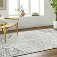 thumbnail image 2 of BoutiqueRugs Nyrie Oriental Medallion Area Rug - Farmhouse Traditional Floral Carpet for Living Room - Light Gray - 5'3" x 7'7" (5x7), 2 of 8