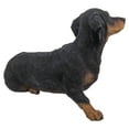 thumbnail image 2 of Garden Decor Animal Statue Dachshund, 2 of 5