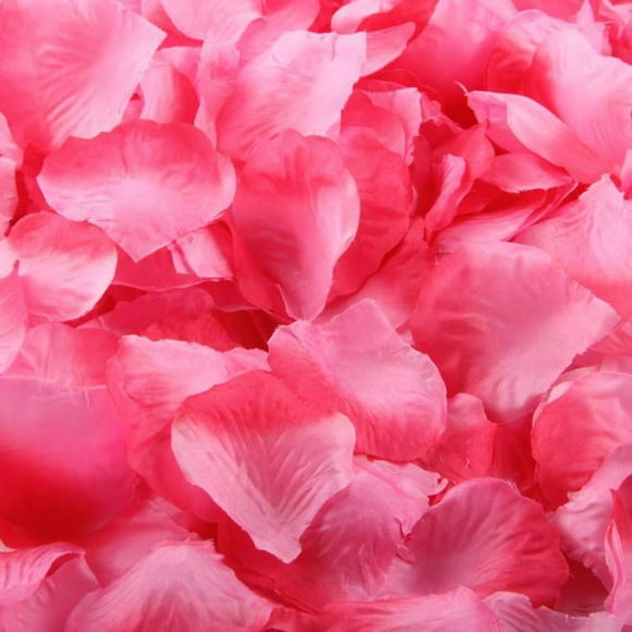 Agiferg 1000pcs Chaud Rose Soie Rose Pétales Artificiels Fête de Mariage Fleur Favorise Décor