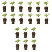 Ferry-Morse Plantlings Kit 1-3" Vinca Titan Mix Live Flower Plants (18 Count), Full Sun