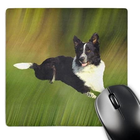 3dRose  Border Collie  MousePad price history on PriceWatchPro