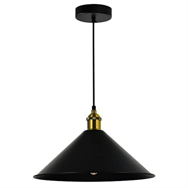 CWI Lighting Brave 1 Lumière Noir Mini Pendentif