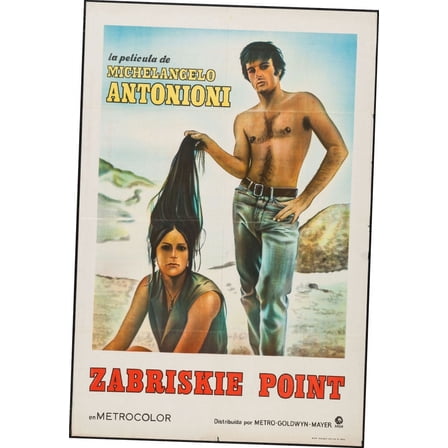 Zabriskie Point Movie Poster 24In x36In Art Poster 24x36 Multi-Color Square Adults Best Posters