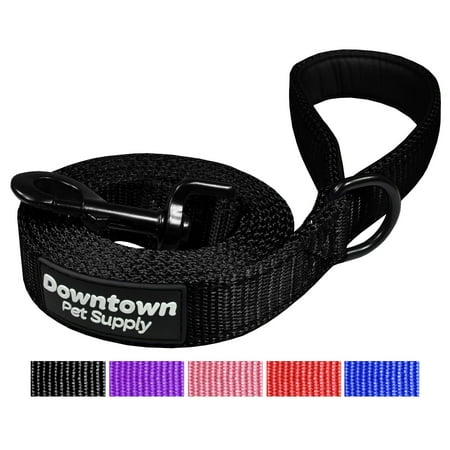 Nylon Reflective Dog Leash - Best Reflective Dog Leash with Padded Handle and Strong Nylon