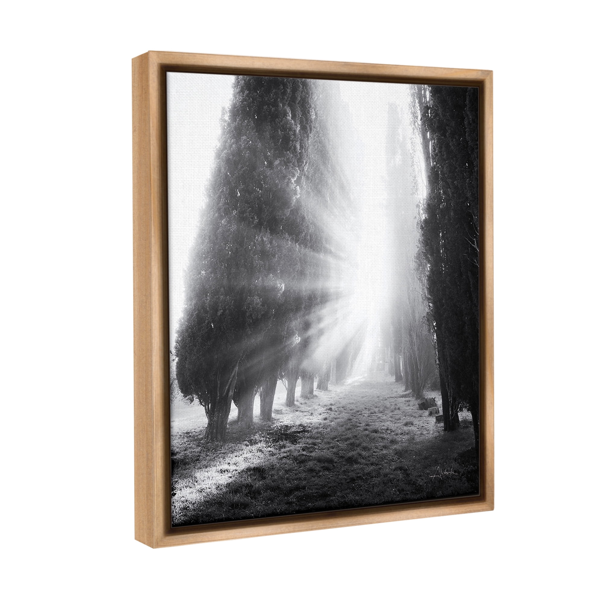Stupell Industries Sun Rays & Hedge Grove Landscape Photography Brown Floater Framed Canvas Art Print Wall Art, 17 x 21