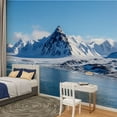 thumbnail image 2 of Peel and Stick Wallpaper south Spitsbergen Around fjord Hornsund Modern Art Wall Mural Decor Self Adhesive and Removable 100in x 144in, 2 of 8