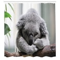 thumbnail image 2 of Ambesonne Koala Shower Curtain, Small Bear Like Animal Art, 69"Wx84"L, Pale Grey Dark Cocoa, 2 of 4