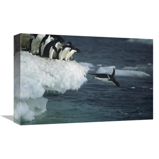 12 x 18 in. Adelie Penguin Leaping Off Ice Edge in Fog, Possession ...