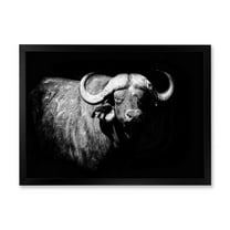 Designart 'Black and White Portrait Of Buffalo I' Farmhouse Framed Art Print