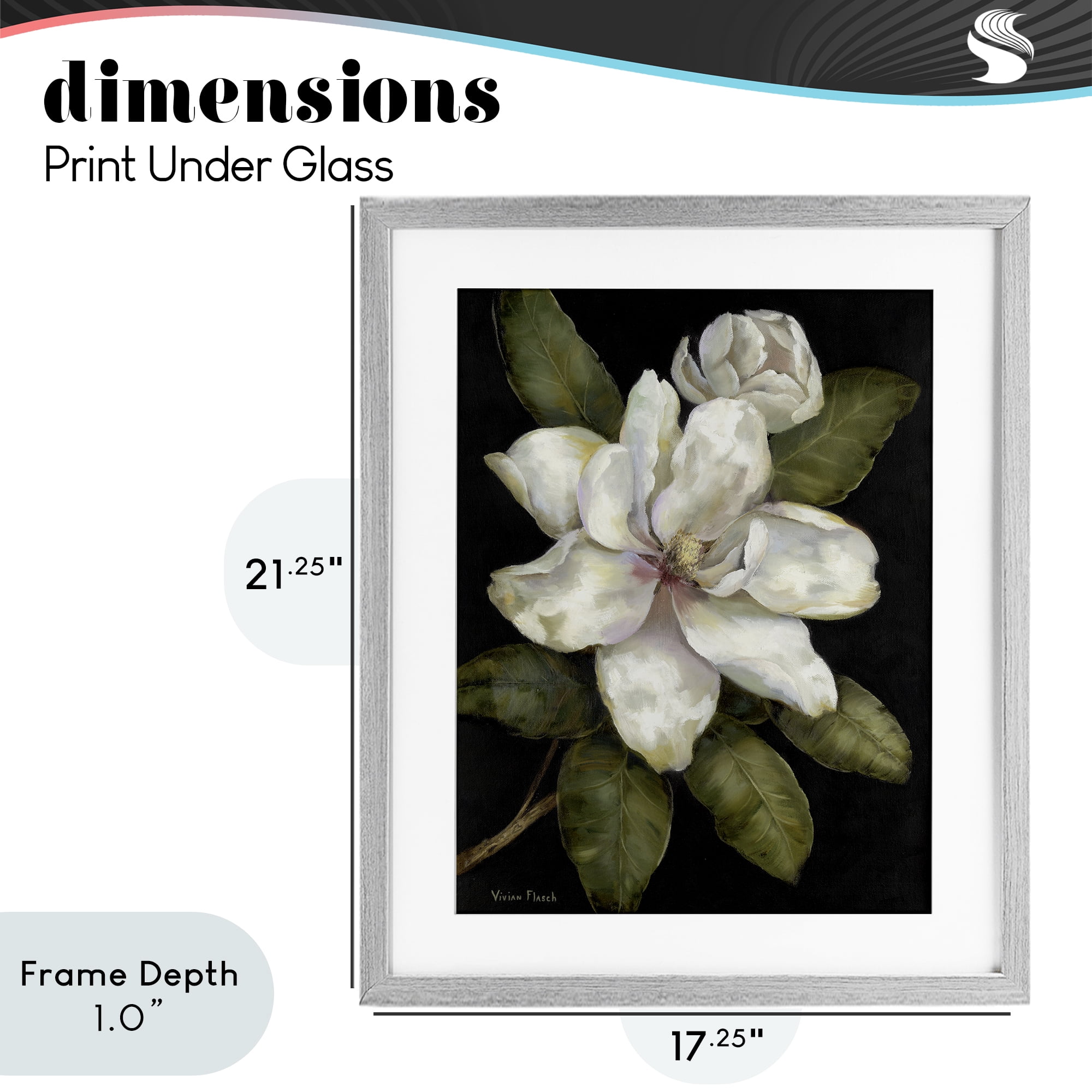 Stupell Industries Budding Magnolia Blooms Gray Framed Print Under Glass, design by Nan