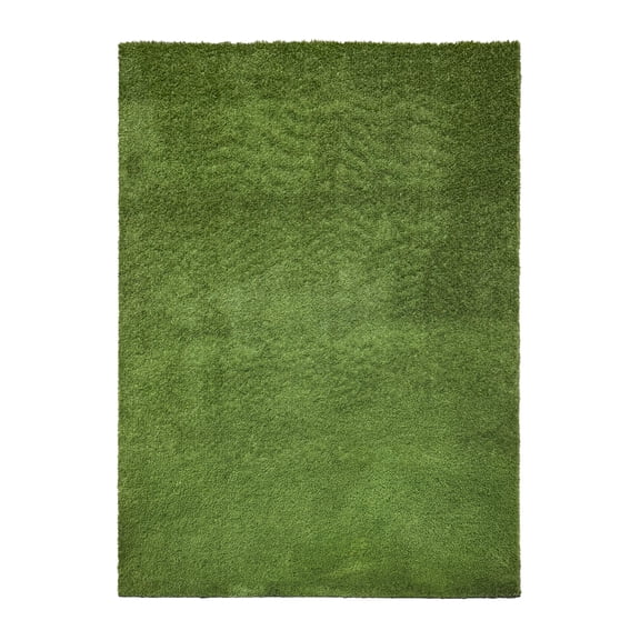 Koeckritz Rugs Artificial Grass Indoor/Outdoor Green Turf Area Rug, 5' x 7'