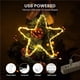 thumbnail image 3 of Bearachild Luces de hadas navideñas USB Cambio de color Luz de cadena de alambre de cobre con control remoto 11 modos de iluminación Luces de hadas Iluminación y accesorios bicolor 100LED Bearachild HA042457-01, 3 of 6
