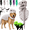 Gray, variant on Pet Dinosaur Costume, Soft Plush T-Rex Skeleton Outfit for Dogs & Cats, Glow-in-the-Dark Green Option, Machine Washable Cosplay Clothes, Medium Large Pets, 90cm 120cm