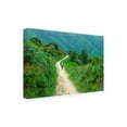 thumbnail image 2 of Ben Heine 'Santiago De Compostela Pilgrimage 242' Canvas Art, 2 of 3