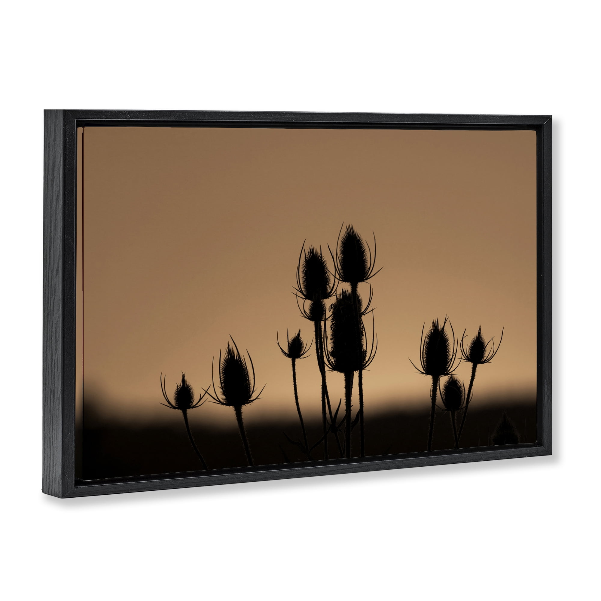 Stupell Industries Botanical Sprigs Silhouettes Plants & Flowers Photography Black Floater Framed Canvas Art Print Wall Art, 25 x 17