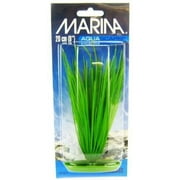 Marina Hairgrass Plant 8" Tall Pack of 2