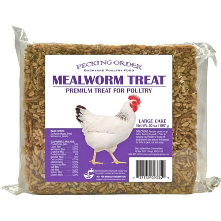 Mealworm Treat Large Cake