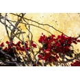thumbnail image 2 of Alan Hausenflock 44x31 Gallery Wrapped Canvas Wall Art Titled - Flowers of Carmel I, 2 of 4