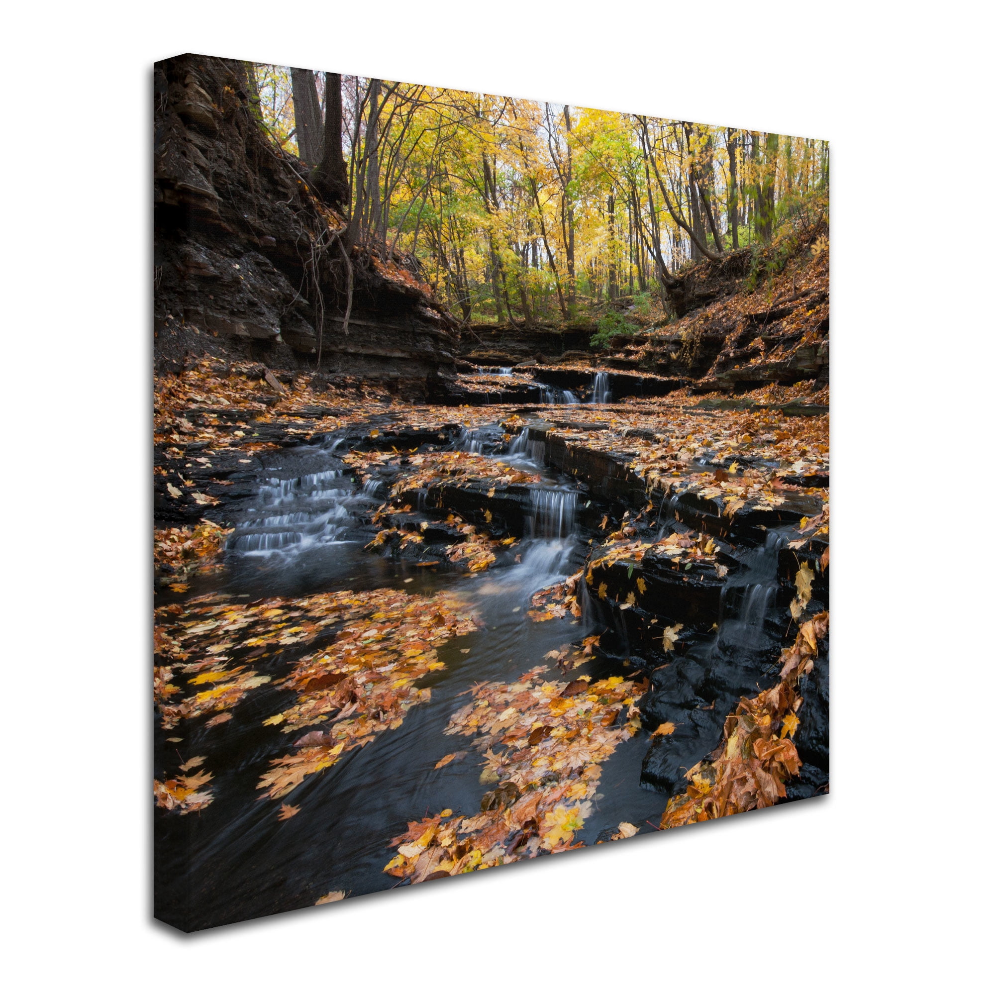 Trademark Fine Art "Late Autumn Falls" Canvas Art by Kurt Shaffer
