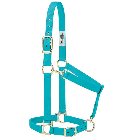 Weaver Leather Nylon Horse Halter, Padded and Adjustable, Chin and Throat Snap Hook Halter Average Turquoise