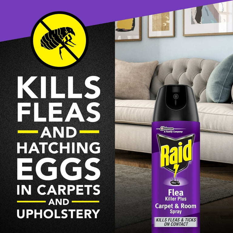 Flea treatment for couch hotsell