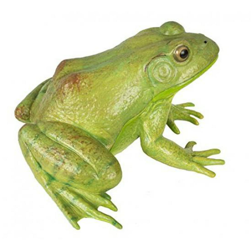 Safari Ltd Incredible Creatures American Bullfrog - Walmart.com ...