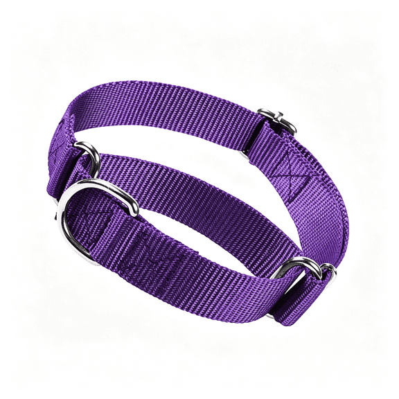 GASTROPOD Martingale Collar for Dogs, No Pull Choke Collar for Dogs Heavy Duty No Slip Training Dog Choker Collar for for Small Medium Large Dogs Collar for Dogs (Purple, M)