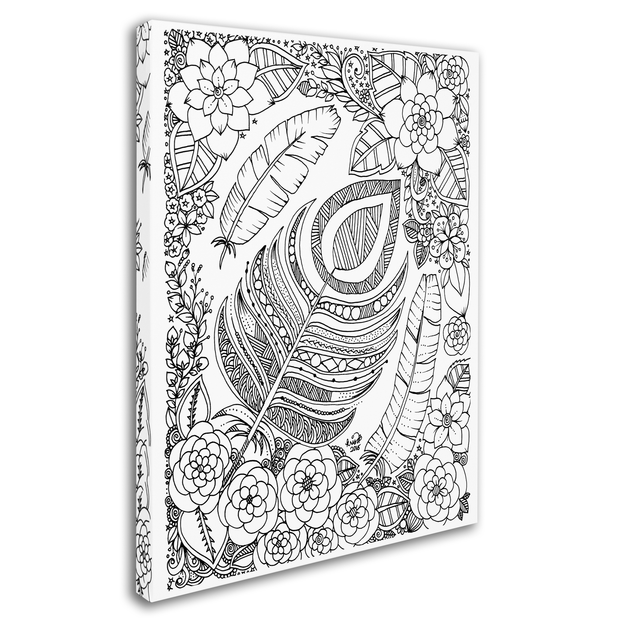Trademark Fine Art 'Feathers' Canvas Art by KCDoodleArt