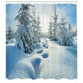 thumbnail image 3 of Ambesonne Winter Shower Curtain, Blue Sky Tree Footprints, 69"Wx84"L, Blue White, 3 of 3