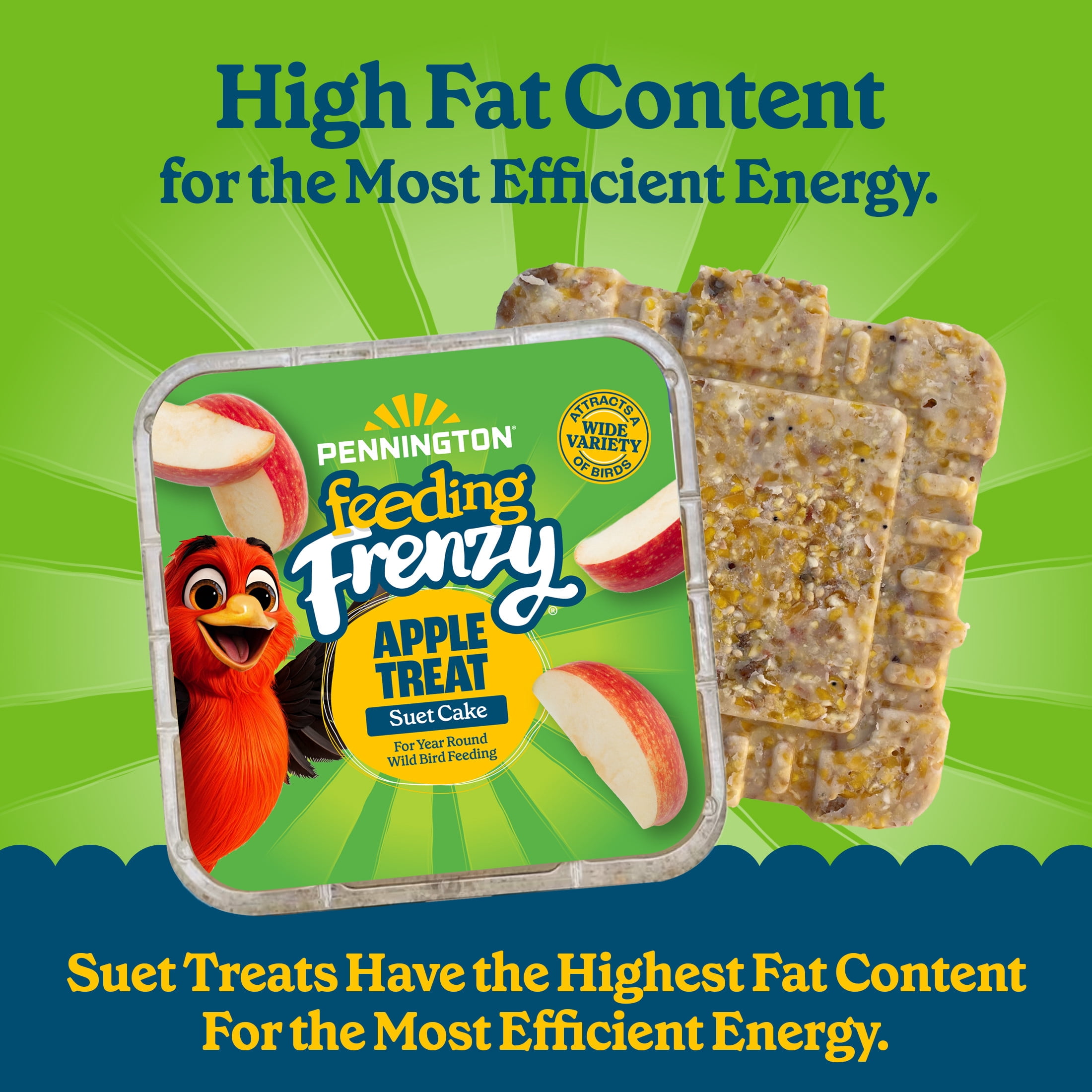 Pennington Feeding Frenzy Apple Treat Suet, 11.75 oz Cake, Wild Bird Food, 1 Pack, Fresh
