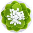thumbnail image 2 of Organizador de hisopos de algodón Zhivalor forma de loto color Verde, 2 of 6
