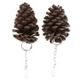 thumbnail image 2 of 2pcs Natural Cones Cage Hanging Toy Chew Toy Bird Parrot Hamster Rabbit Guinea, 2 of 7