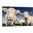 thumbnail image 1 of ARTCANVAS Cows Polka Dots Painting Home decor Canvas Art Print - Size: 40" x 26" (1.50" Deep), 1 of 9