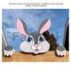 thumbnail image 2 of For chimpanzees animal head fence peeking yard art outdoor fence, 2 of 5