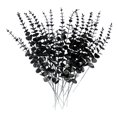 thumbnail image 4 of 2x 20 Piezas de Tallos de Artificiales Ramas Negras Falsas Arreglos Florales Follaje de para Ramo de Flores Decoración de Oficina de 2 piezas, 4 of 8