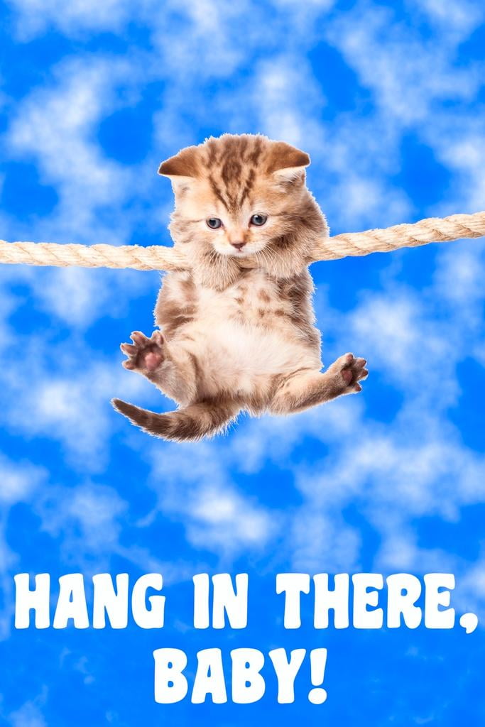 Hang In There Baby! Kitten Retro Motivational Laminated Poster 12x18