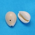 thumbnail image 2 of 50pcs Natural Cowrie Shell Beads Dyed Seashell Color 18.5~23x13~14x9~11mm Hole: 1.5mm DIY, 2 of 2