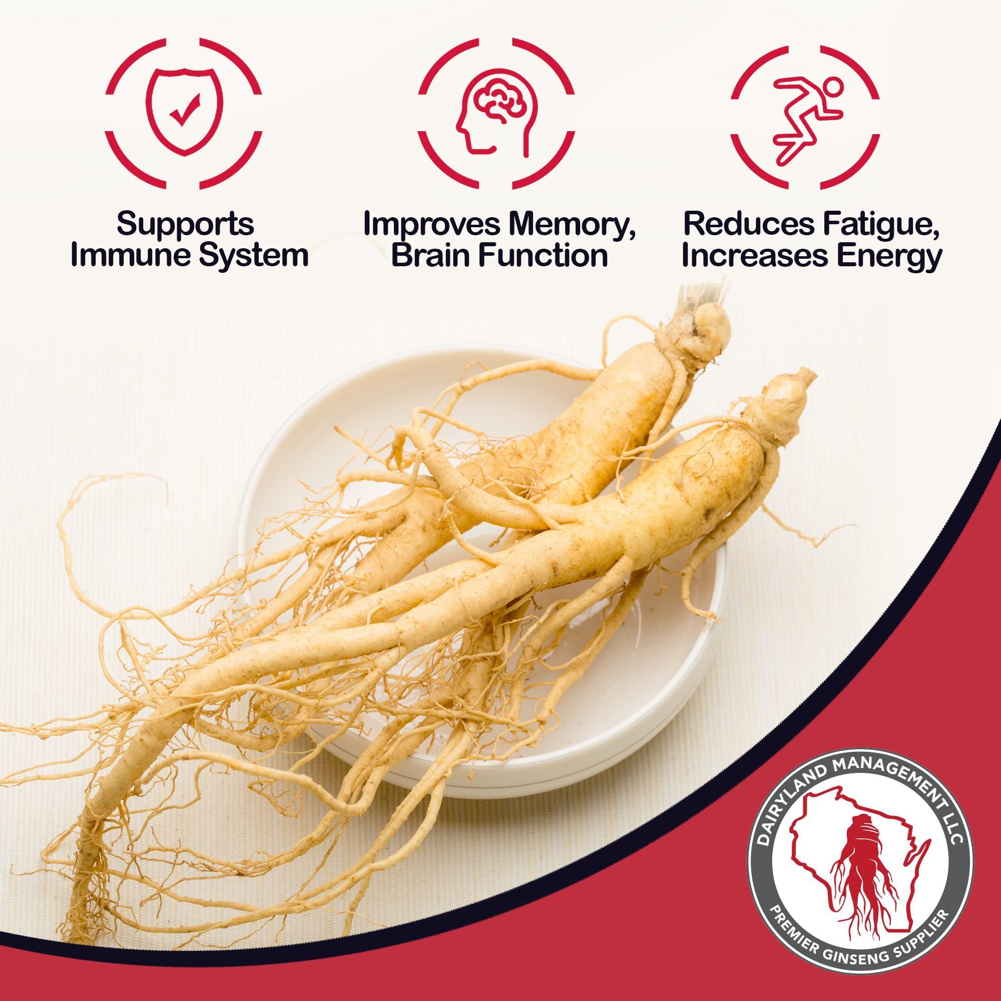 Dairyland Management American Ginseng Tea Bags, 40 ct - Premium Wisconsin Ginseng Tea - Non-GMO, Gluten Free Ginseng Drink