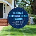 thumbnail image 4 of BioAdvanced 3-in-1 Weed & Feed for Southern Lawns Plus Insect Killer, 10lb, Granules, 4 of 6