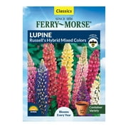 Ferry-Morse 550MG Lupine Russell's Hybrid Mixed Colors Perennial Flower Seeds Full Sun