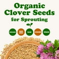 thumbnail image 2 of Organic Clover Seeds, 25 Pounds - Non-GMO, Sproutable, Kosher, Raw, Vegan - by Food to Live, 2 of 8