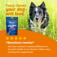 thumbnail image 6 of Zesty Paws Senior Advanced Hip & Joint Bites Chicken Flavor Dog Supplement, 60 Count, 6 of 10