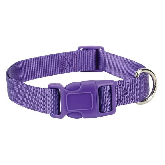 Dog Collar Bulk Packs 50 Purple Nylon Shelter Rescue Vet 4 Adjustable Sizes (6 to 10 Inch)