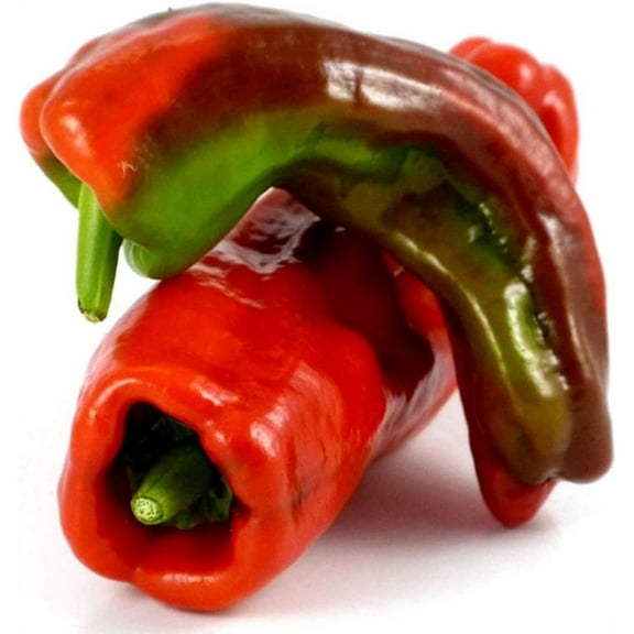 Cristal Basque Region Spanish Tapas Heirloom Pepper Premium Seeds Packet