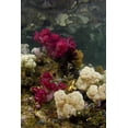 thumbnail image 2 of Shimlock, Jones 17x24 Black Ornate Wood Framed with Double Matting Museum Art Print Titled - Indonesia, Papua, Raja Ampat Colorful reef, 2 of 4