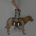 thumbnail image 4 of COODEO Mobility Dog Lift Harness, Emergency Carry Sling, Pet Rear Leg Support Rehabilitation Lifts Vest, Dog Carrier for Senior Dogs Joint Injuries, Arthritis (Military Green, L), 4 of 6
