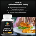 thumbnail image 6 of ZESTRUM Digestive Enzymes - 400mg Ultra Digestive Food Enzymes for Gas, Bloating & Food Digestion - 60ct, 6 of 10